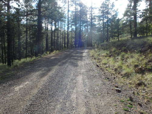 GDMBR: The shadows are getting longer.